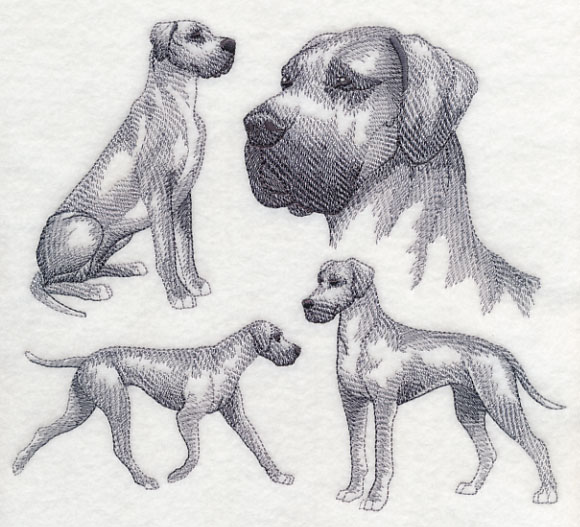 580x527 Machine Embroidery Designs - Great Dane Sketch
