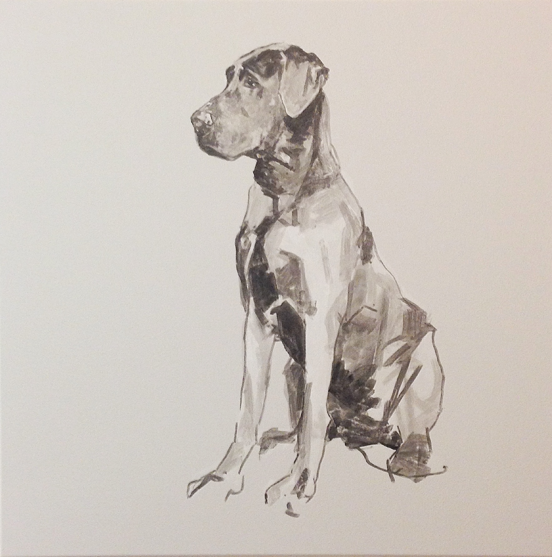 1769x1786 Great Dane - Great Dane Sketch