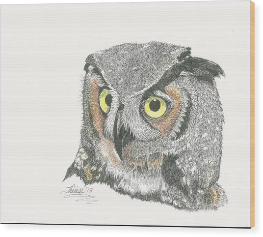 536x482 Great Horned Owl Drawing By Bill Hubbard - Great Horned Owl Sketch