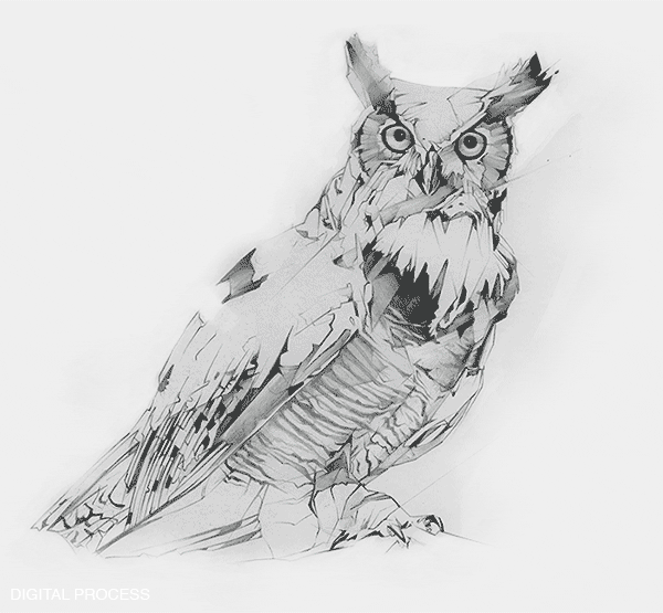 600x555 Great Horned Owl Illustration - Great Horned Owl Sketch