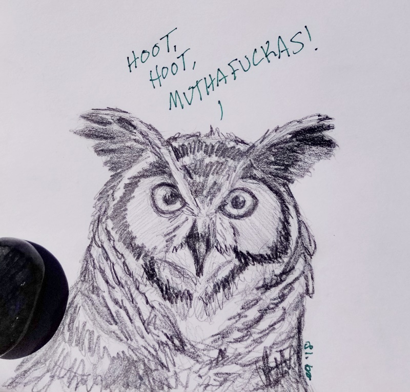 800x765 Great Horned Owl Sketch By Bluecrest Rubenaris - Great Horned Owl Sketch