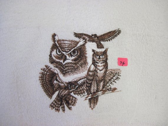 570x428 Great Horned Owl Sketch - Great Horned Owl Sketch