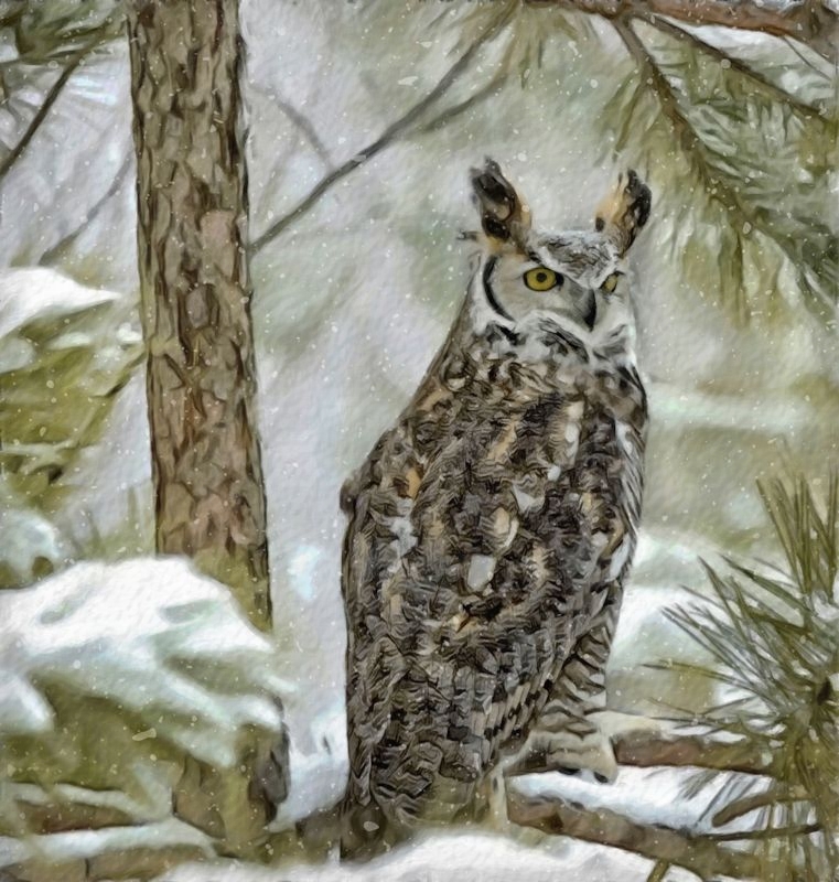 761x800 Great Horned Owl - Great Horned Owl Sketch