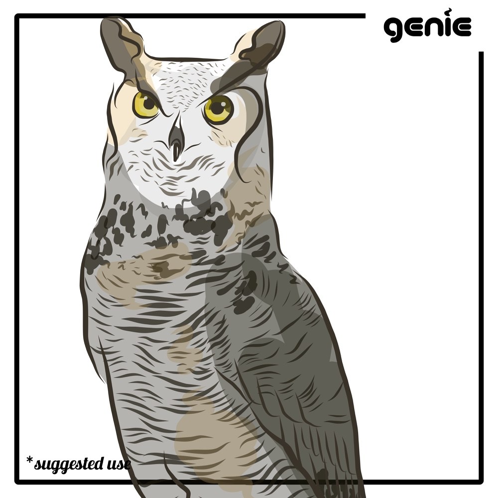 1000x1000 Great Horned Owl Bird Vector Graphic Illustration Hand Drawn - Great Horned Owl Sketch