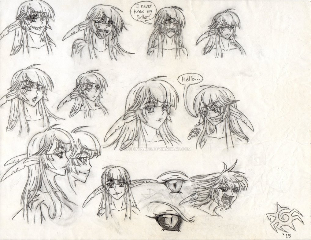 1017x786 Great White Shark Mermaid Head Sketches By Speedynat3 - Great Sketches