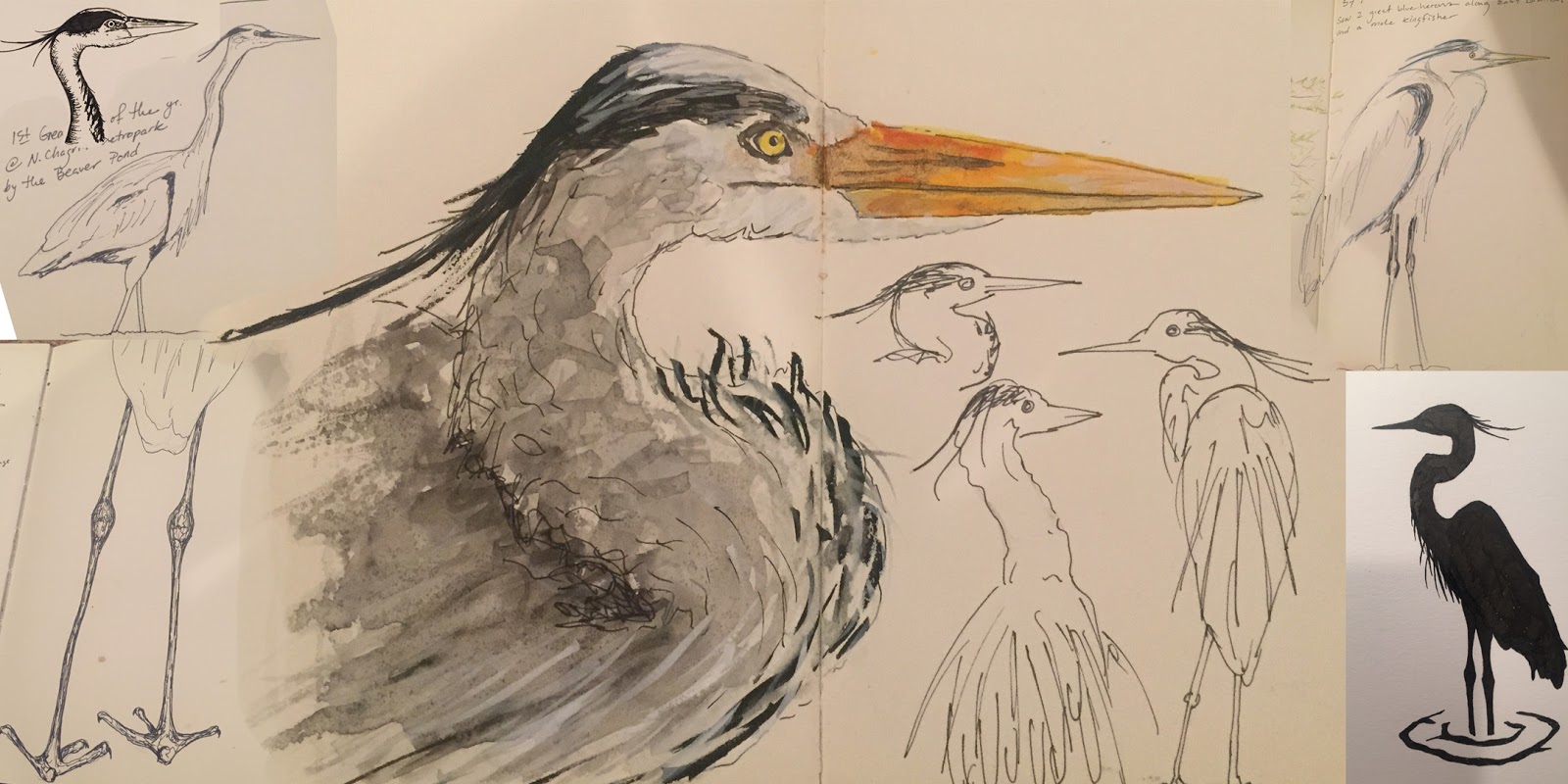 1600x800 Sketching In Nature Great Blue Heron Project - Great Sketches