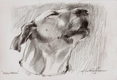 400x275 V....vaughan Arts Full Howl Romeo, Great Dane, Dog, Sketch, Howling - Great Sketches