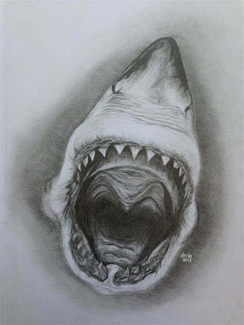 474x632 Great White Shark Drawings In Pencil. Great White Shark Pencil Drawing - Great White Shark Sketch