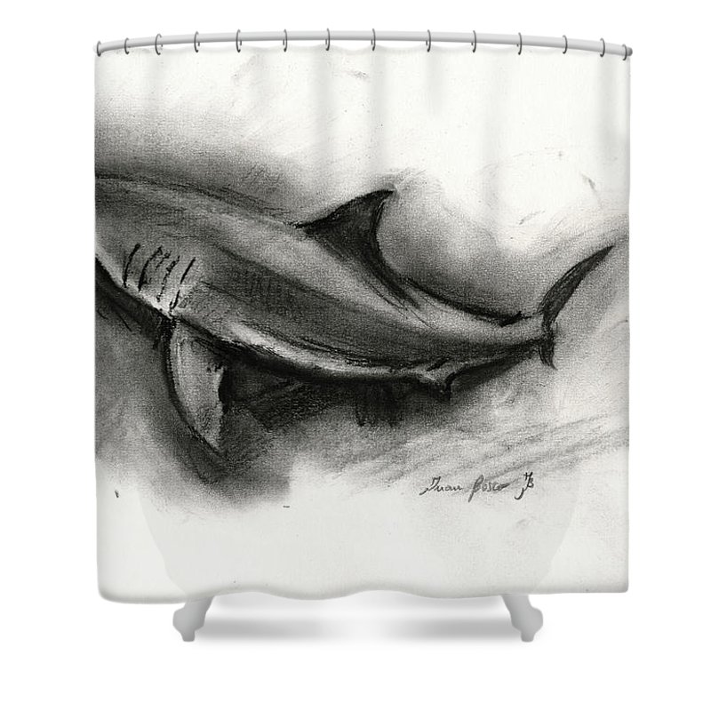 800x800 Great White Shark Drawing Shower Curtain For Sale By Juan Bosco - Great White Sketch