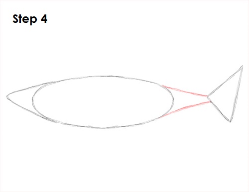 500x386 How To Draw A Shark (Great White) - Great White Sketch