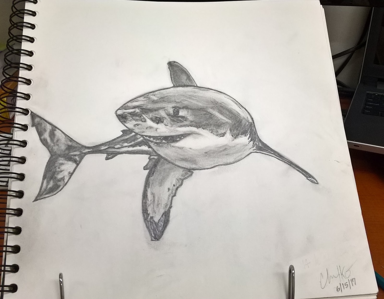 1600x1249 Drawing Great White Shark Sehnsucht - Great White Sketch