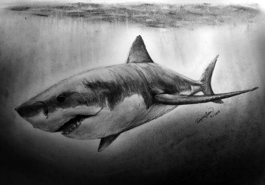 850x593 Great White Archives - Great White Sketch