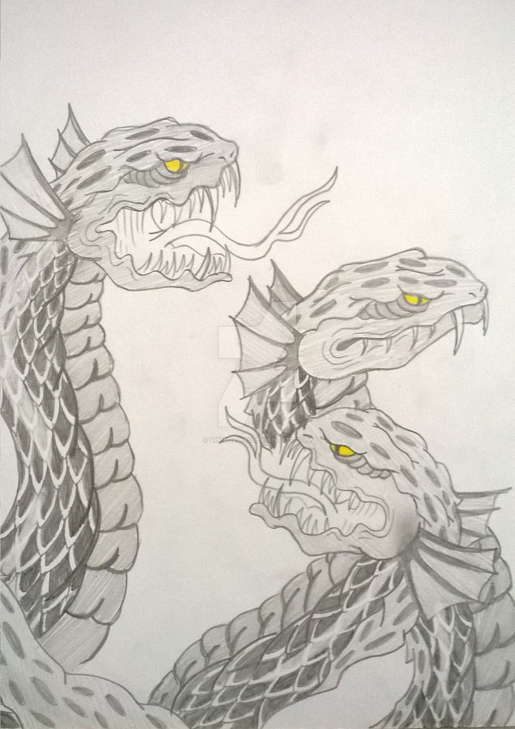 751x1063 Hydra - Greek Mythology Sketches