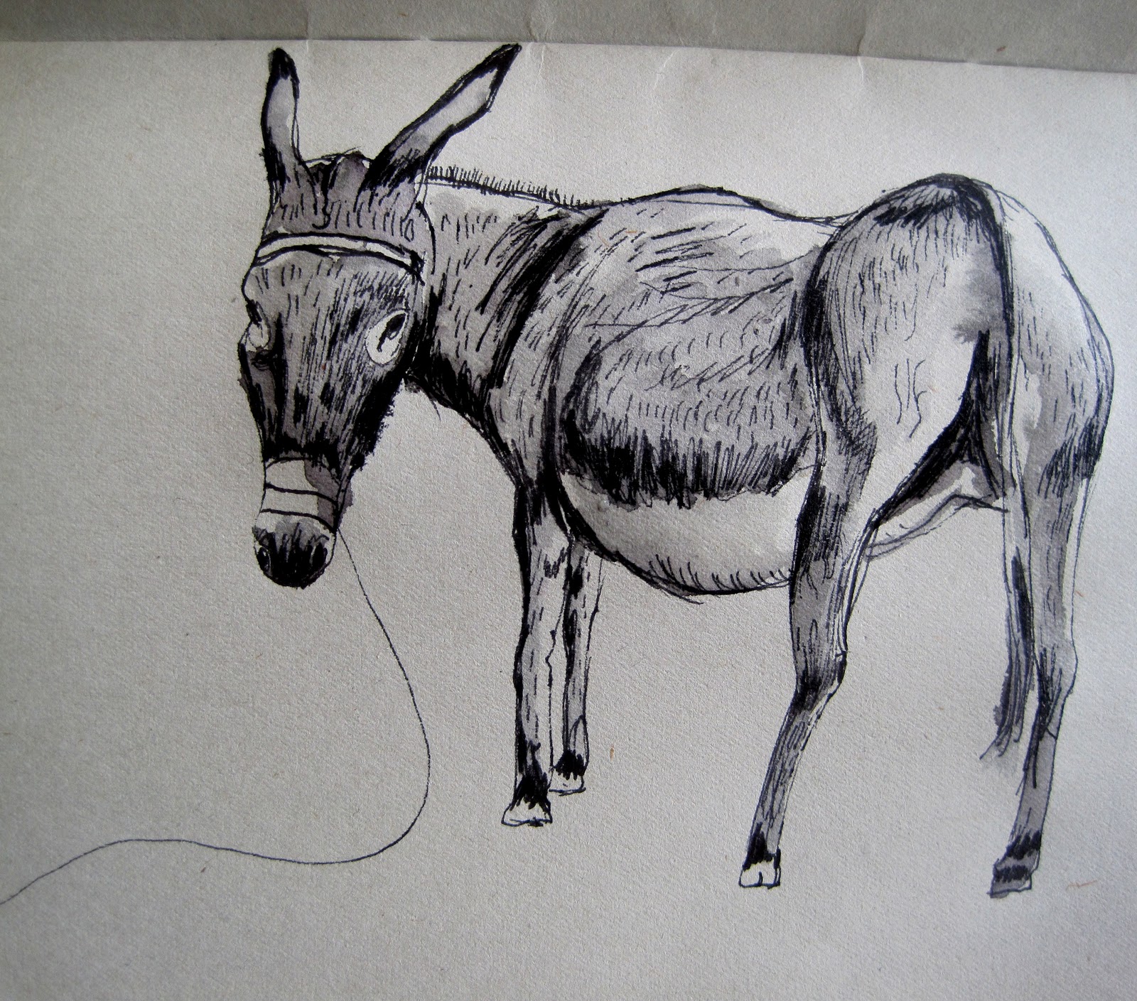 1600x1409 Cycle Scribbles Greek Sketches - Greek Sketches