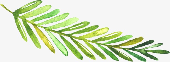 650x238 Hand Painted Watercolor Cartoon Green Leaf, Watercolor Clipart - Green Leaf Sketch