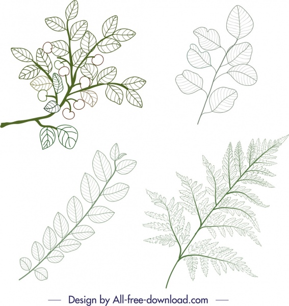 567x600 Plant Icons Green Leaf Branch Sketch Free Vector In Adobe - Green Leaf Sketch