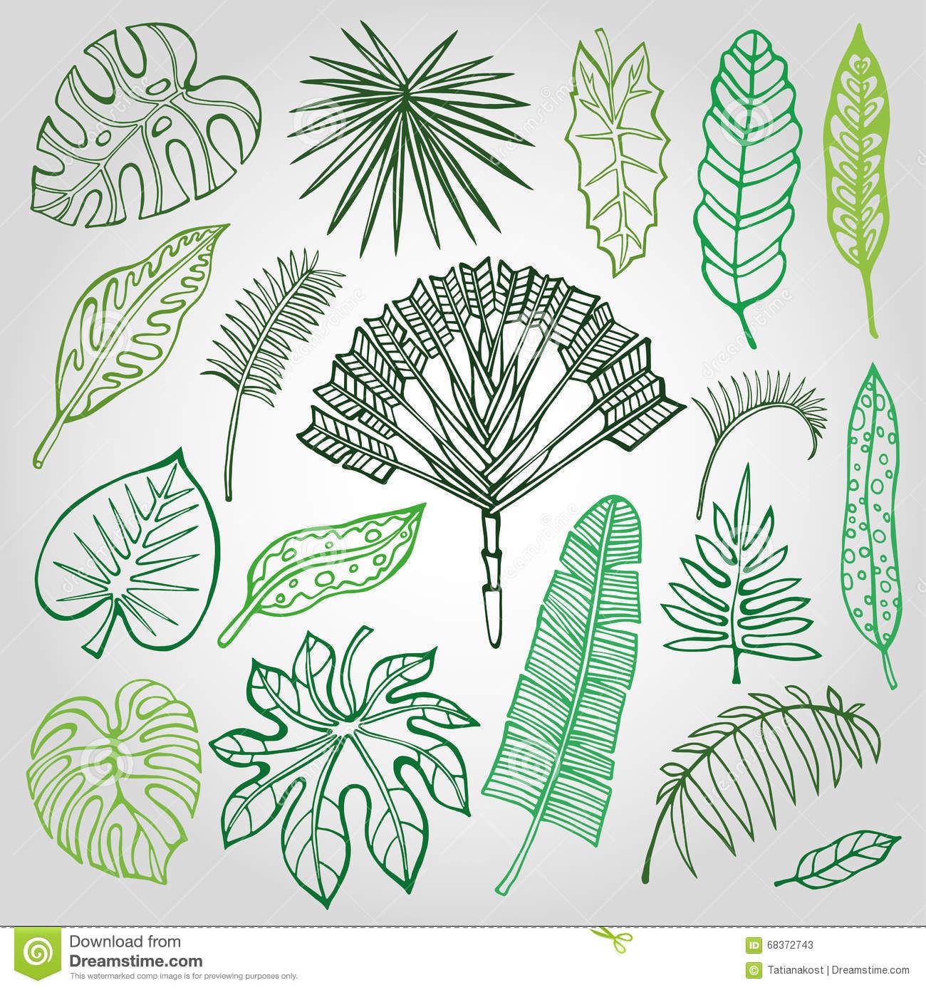 1300x1390 Tropical Palm Leaves,branches Set.outline,green Patternsdesign - Green Leaf Sketch