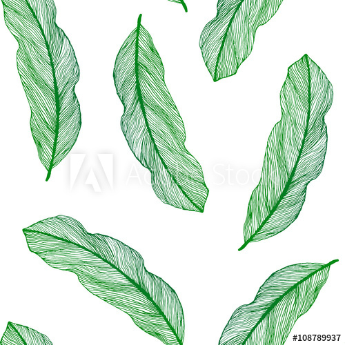 500x500 Vector Graphic Seamless Pattern From Green Leaves Houseplant Hand - Green Leaf Sketch