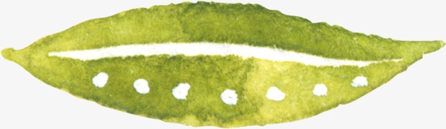 650x188 Watercolor Green Leaf, Watercolor Clipart, Sketch Leaf Elements - Green Leaf Sketch