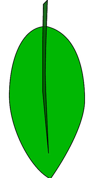 316x616 Green Leaf Sketch Clipart, 10 Cm This Clipart Drawing Has - Green Leaf Sketch