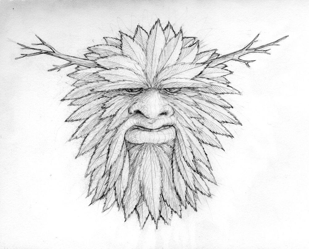 1000x808 Green Man Line Drawing - Green Man Sketch