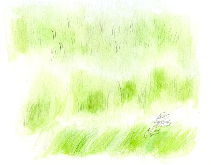 710x556 How To Paint Grass In Watercolor Craftsy Tutorial - Green Sketch