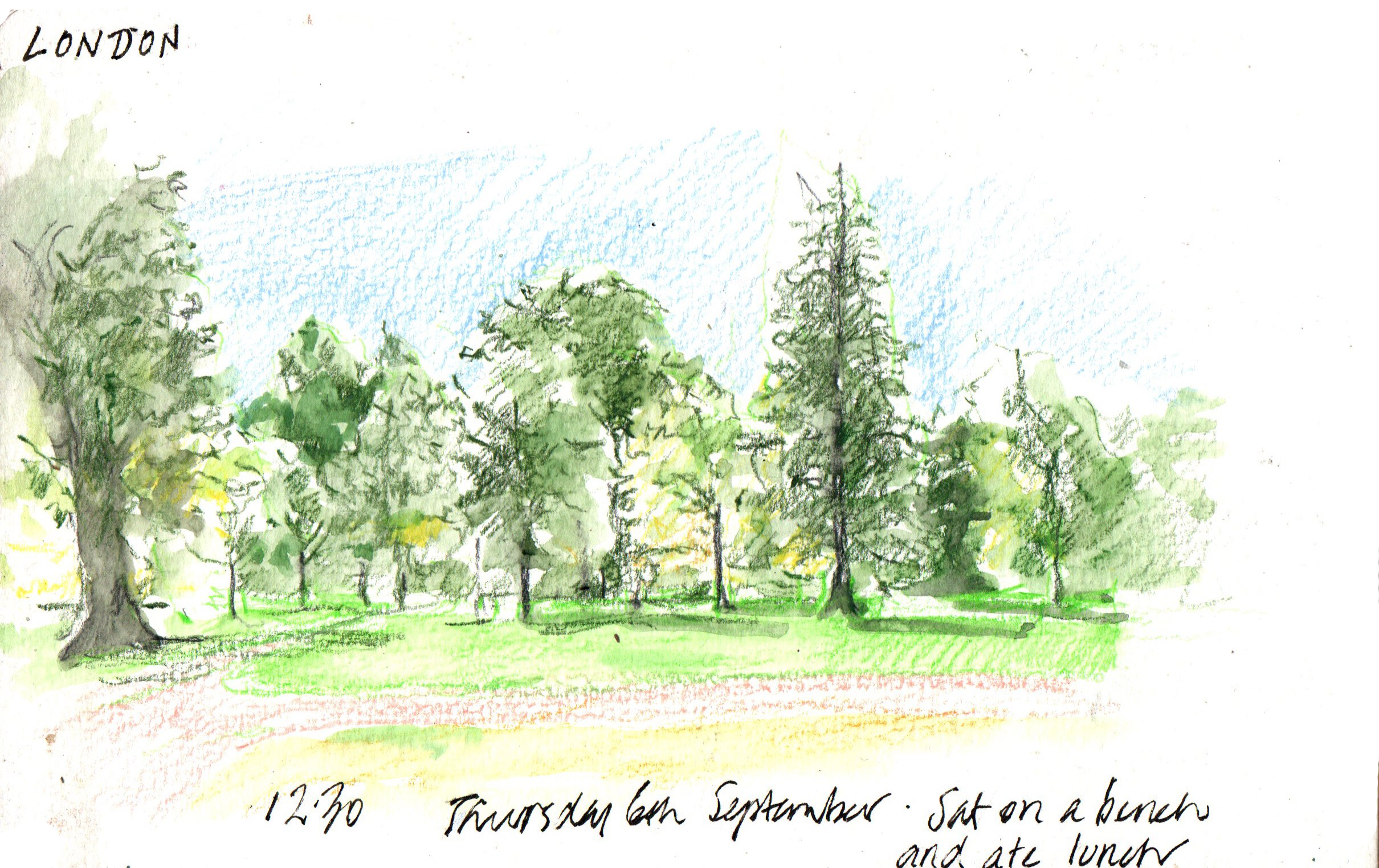 2420x1524 Weekly Art Blog Alissa Duke Watercolour Pencil Artist - Green Sketch