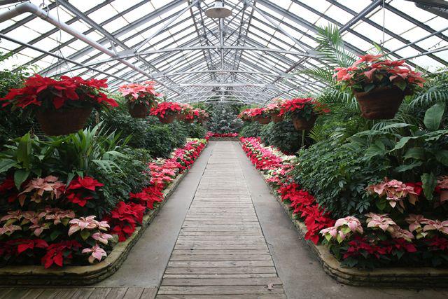 640x427 Urban Sketchers Cleveland Rockefeller Park Greenhouse Amp Gardens - Greenhouse Sketch