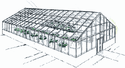 500x275 Evapotranspiration System Wastewater Reuse Management Sundrive - Greenhouse Sketch