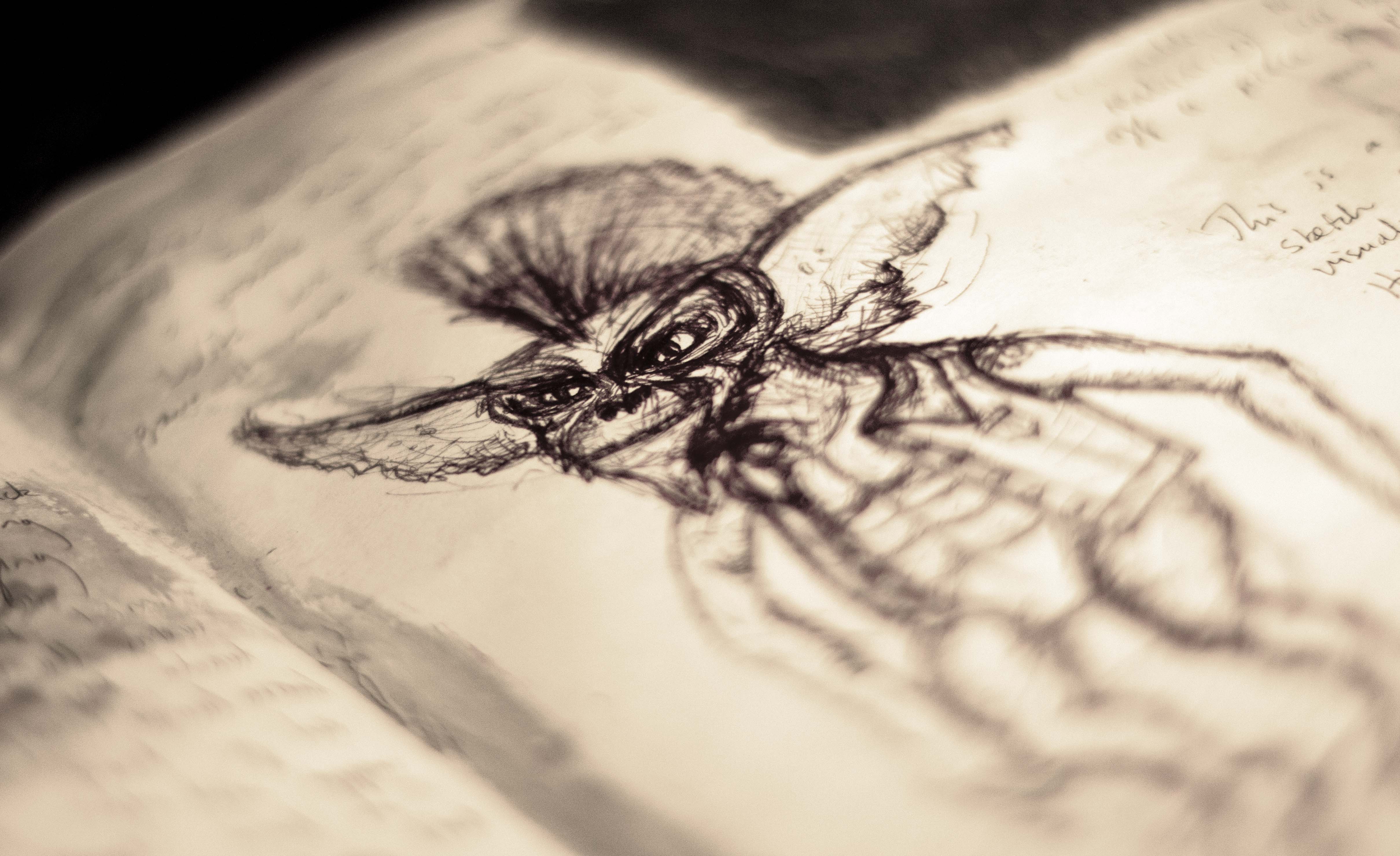 4839x2958 Gremlins Emily Bowers - Gremlins Sketch