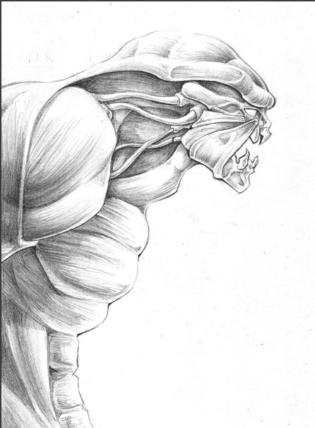 446x606 Portrait Of Grendel By Chrisbeaver - Grendel Sketch