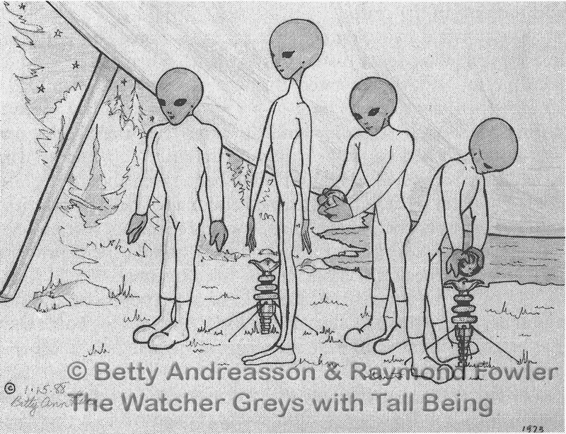 800x613 Et Alien Greys, Hybrids And Aliens With Gray Skin - Grey Alien Sketch