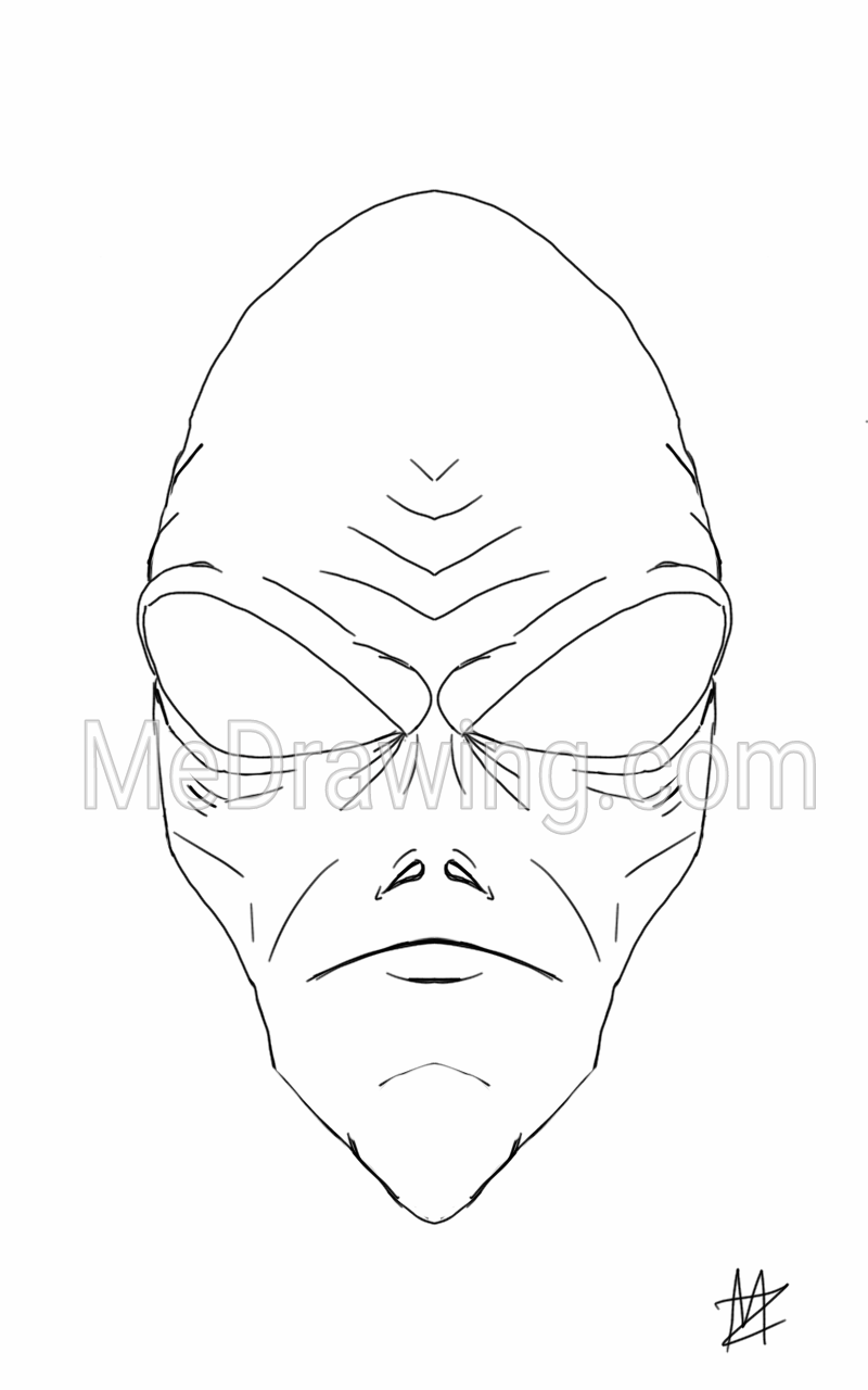 800x1280 Grey Alien Head Ink Drawing - Grey Alien Sketch