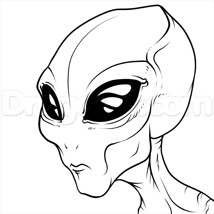 720x720 Pin By Stephanie Franzi On Photo References Drawings - Grey Alien Sketch