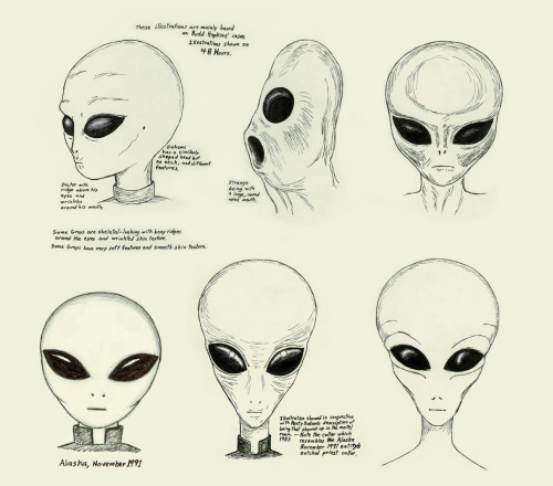 500x440 The Grey Alien Agenda Tumblr - Grey Alien Sketch