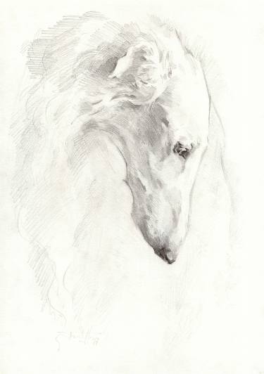 375x532 Russian Greyhound Drawing By Vera Bondare Saatchi Art - Greyhound Sketch