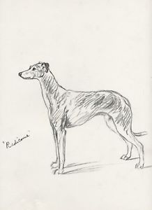 218x300 Greyhound Beautiful Standing Dog Sketch Lucy Dawson Dog Print Ebay - Greyhound Sketch