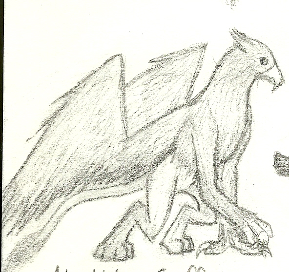 592x558 Griffin Sketch By Sangheili Girl - Griffin Sketch