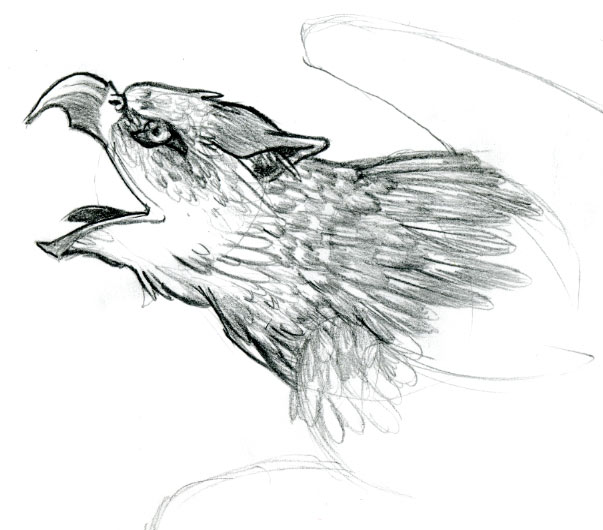 603x530 Griffin Sketch By Dawnbest - Griffin Sketch