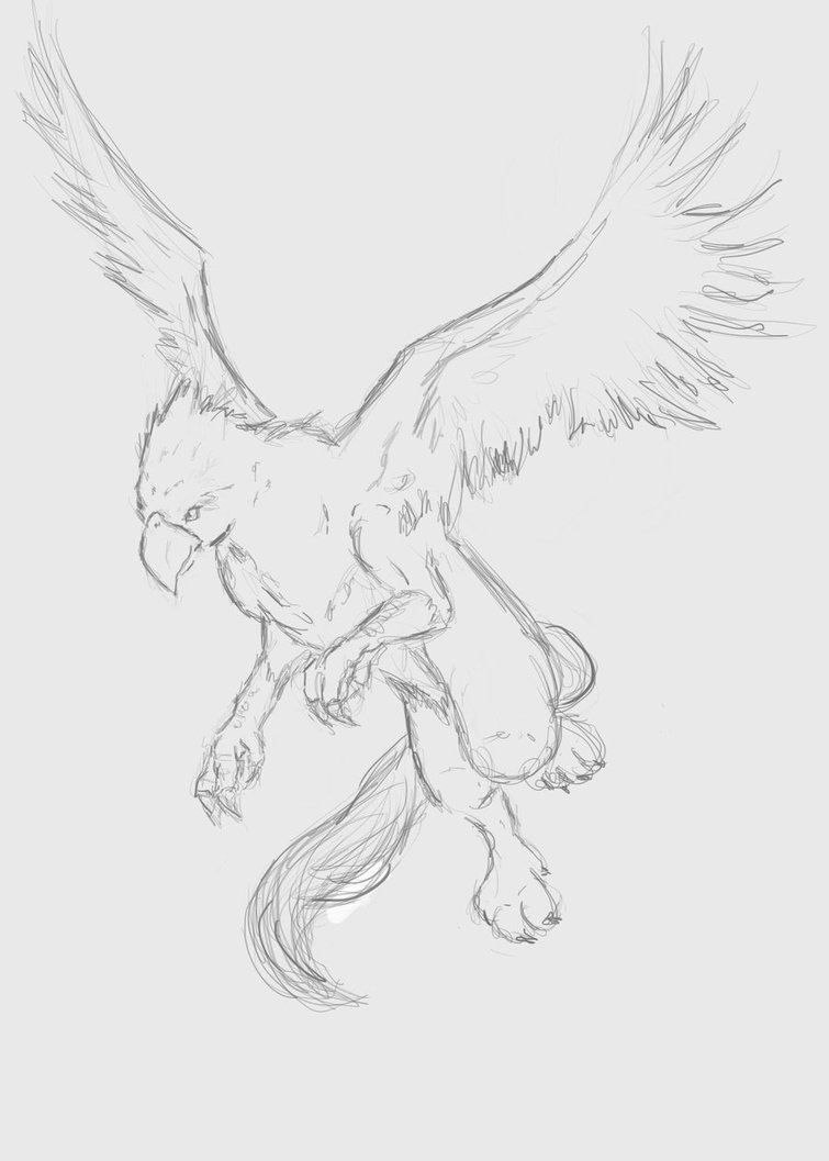 755x1057 Griffin Sketch By Eyesinthedark - Griffin Sketch