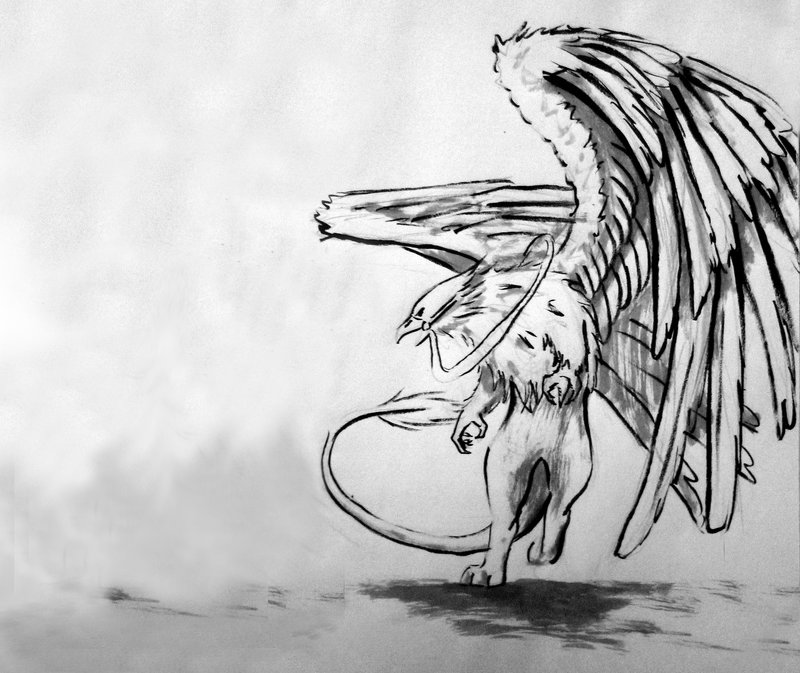 800x673 Griffin Sketch 2 By Haflinger Sama - Griffin Sketch