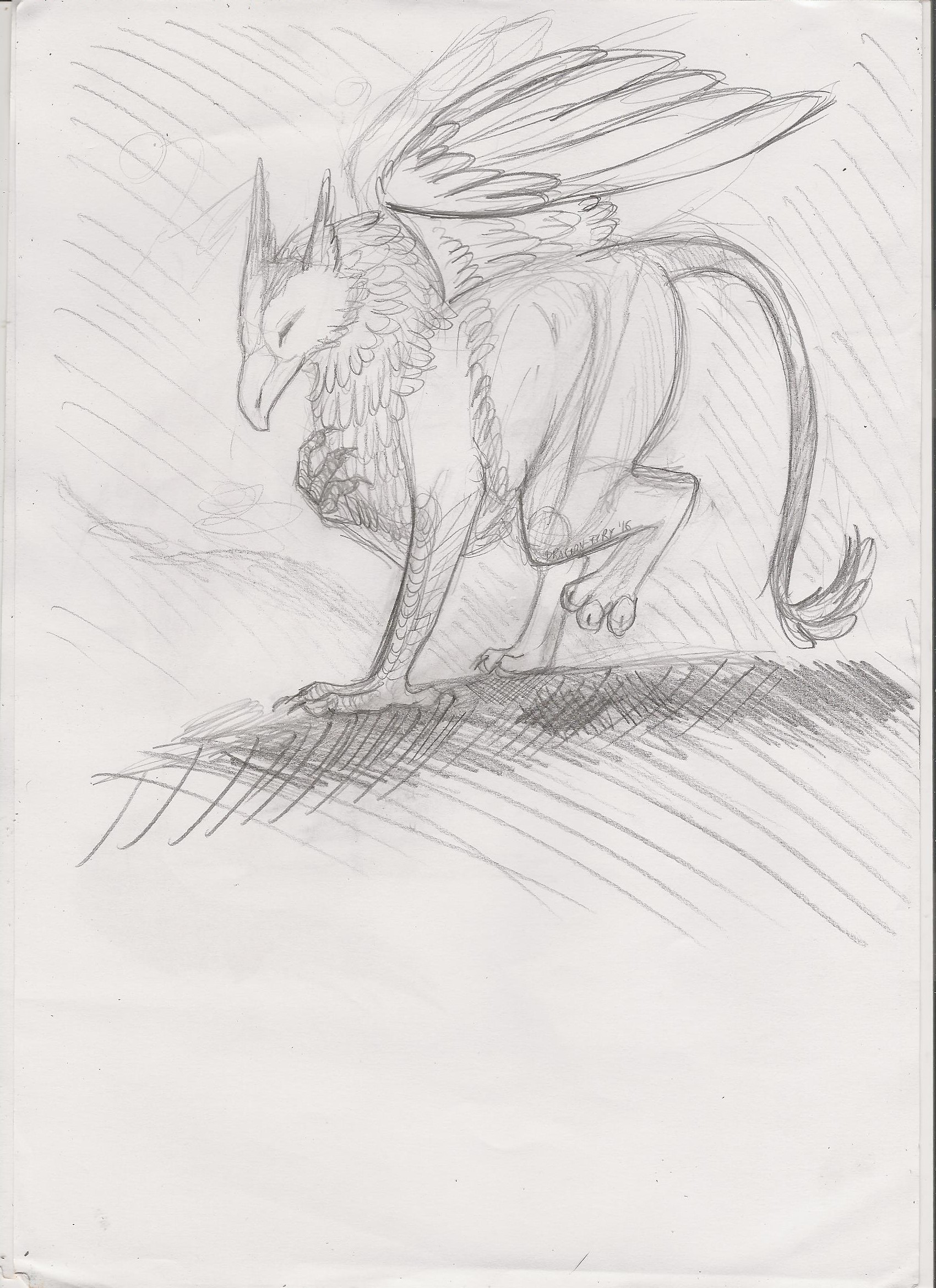 1700x2338 Griffin Sketch Weasyl - Griffin Sketch