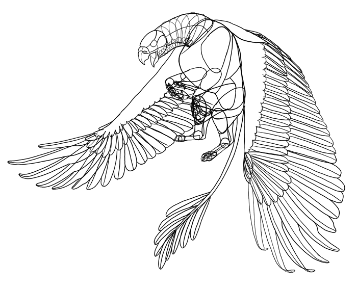 700x567 How To Draw A Griffin - Griffin Sketch