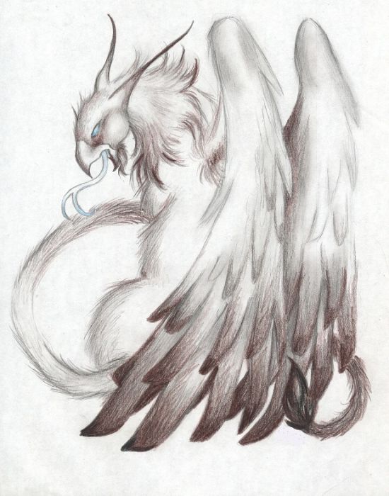550x700 Sketch Fest! - Griffin Sketch