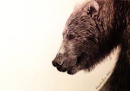268x188 Grizzly Bear Head Drawings - Grizzly Bear Head Sketch