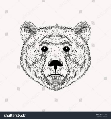 448x478 Grizzly Polar Bear Face Drawing Pictures - Grizzly Bear Head Sketch