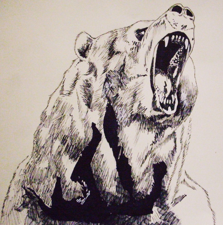 Grizzly Bear Head Sketch at Explore collection of