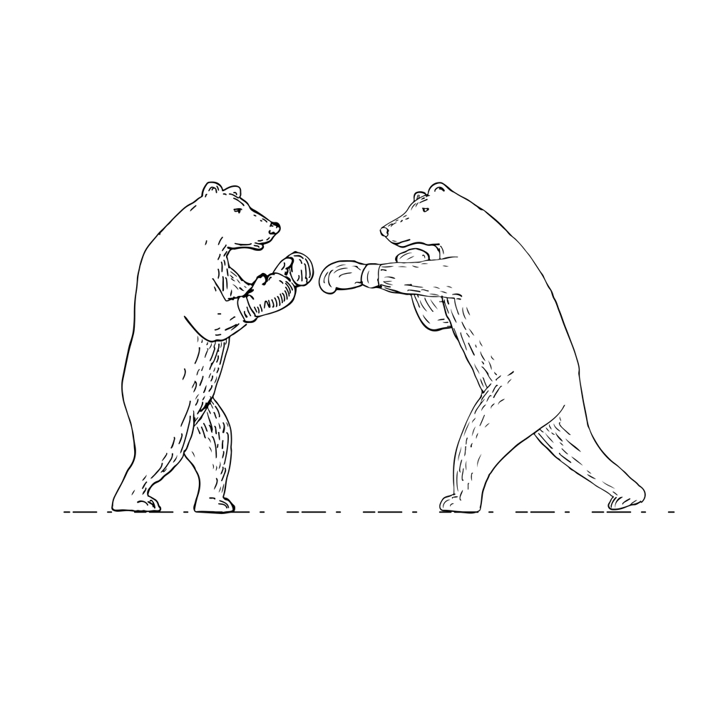 1000x1000 Two Grizzly Bear Boxers Boxing Drawing On Behance - Grizzly Bear Sketch