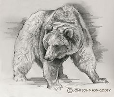 236x200 Bear Sketches Realistic Bear Drawing By Vempiretattoo On - Grizzly Bear Sketch