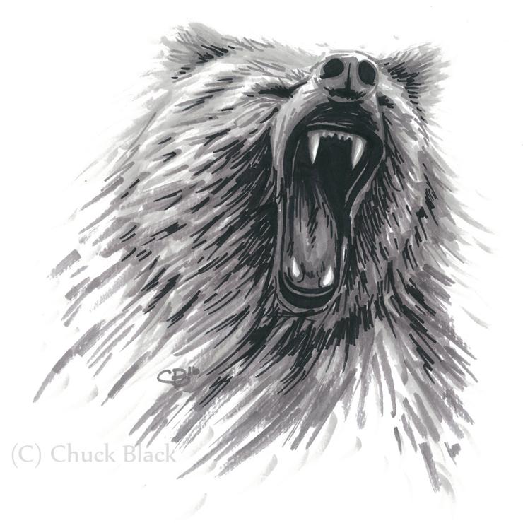 740x740 Grizzly Bear Limited Edition Print - Grizzly Sketch